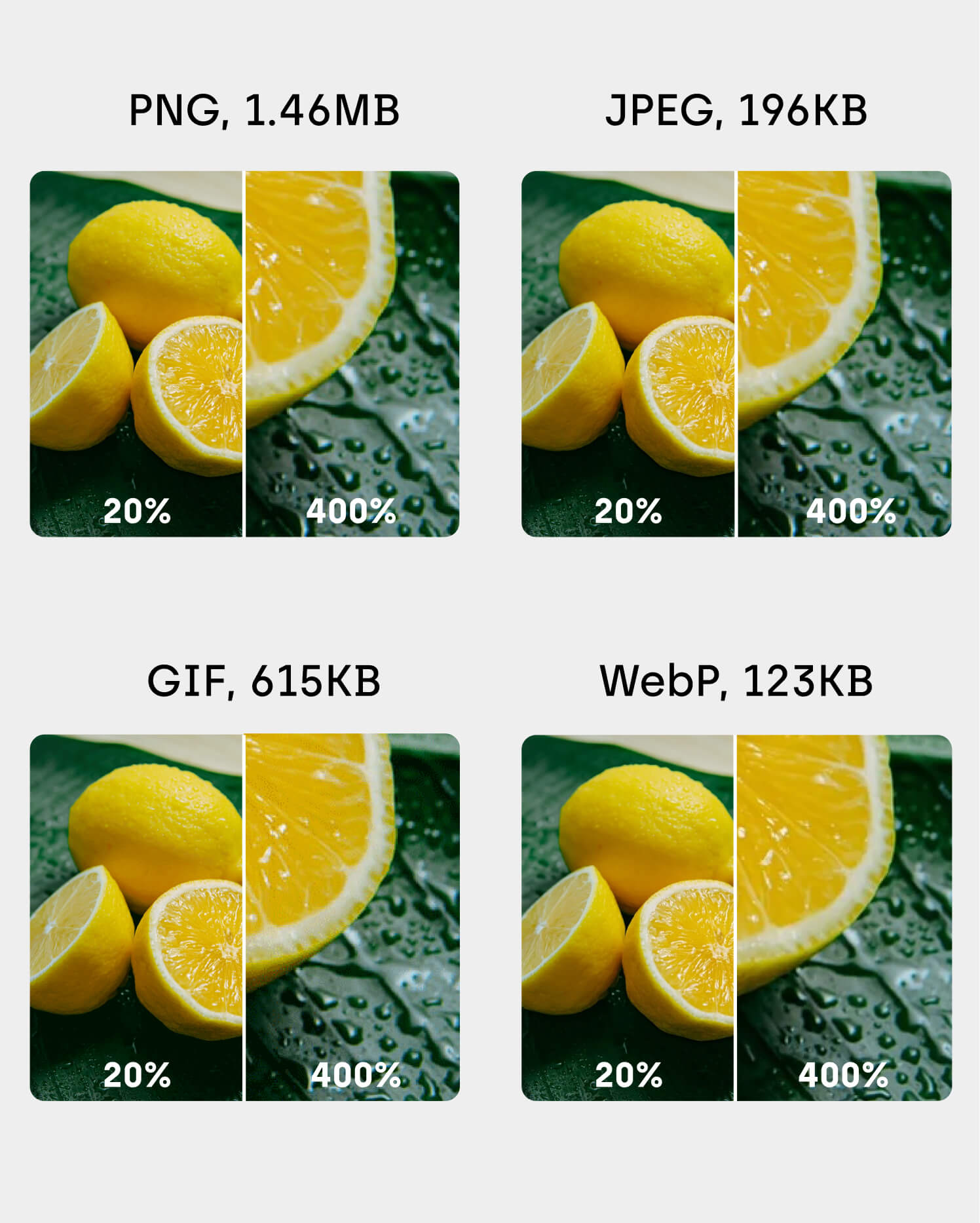 Difference between PNG, JPEG, WebP, GIF and SVG: How to optmise images for WordPress