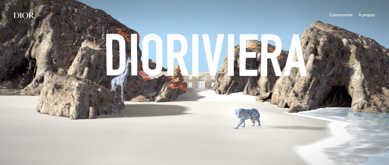 Dior Website screenshot with a beach image and text in the middle