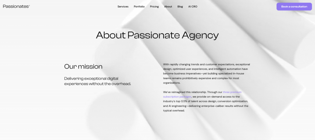 About Passionate Agency